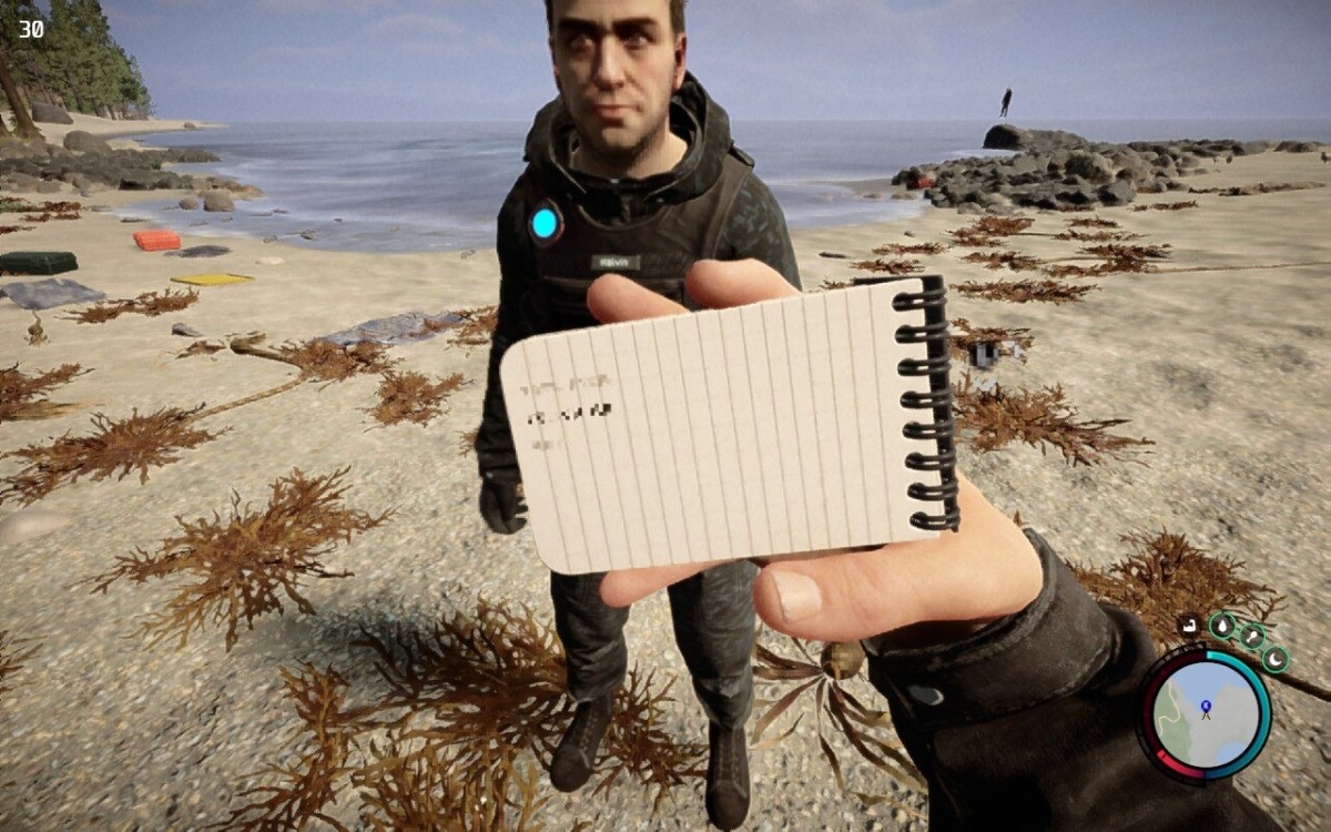Unfortunately, it's borderline impossible to read certain text elements in-game.
